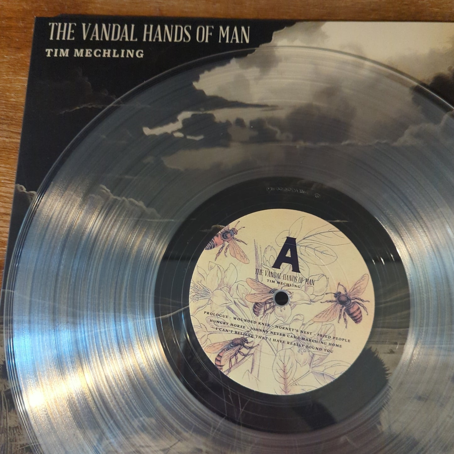 Vandal Hands Of Man 180g PET record