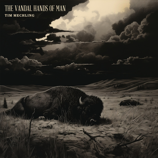 Tim Mechling - "The Vandal Hands of Man" CASSETTE TAPE
